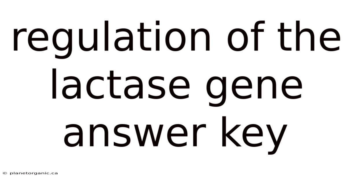 Regulation Of The Lactase Gene Answer Key