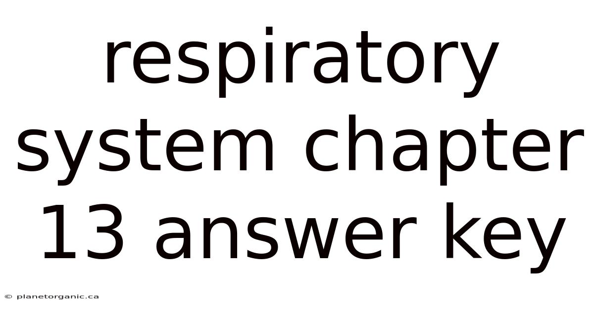 Respiratory System Chapter 13 Answer Key