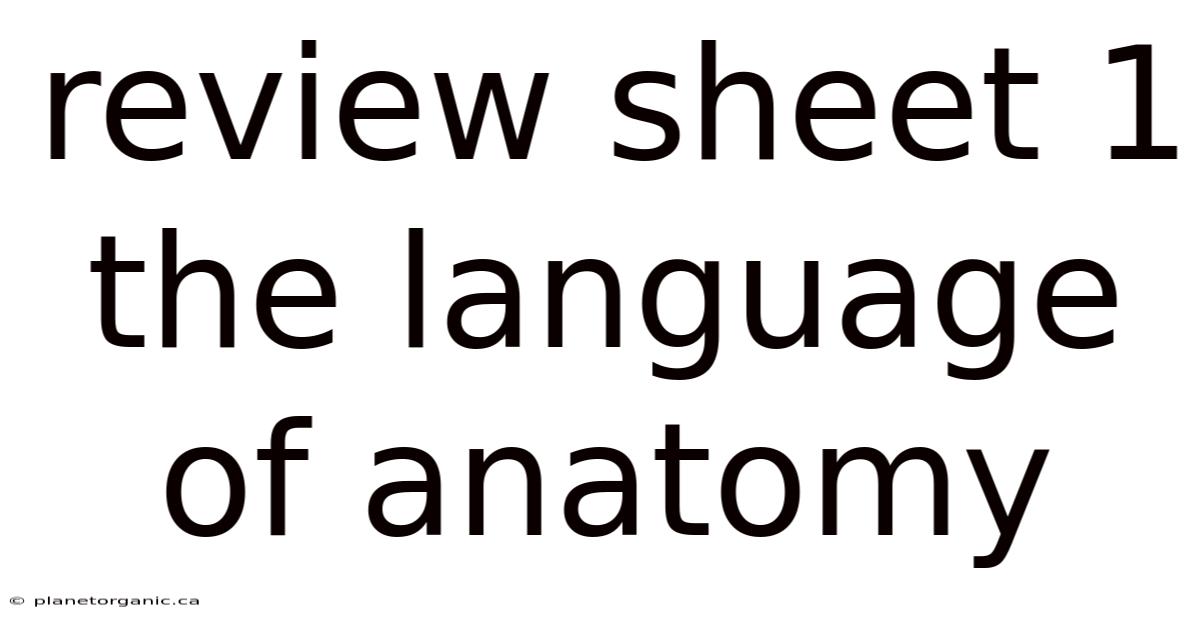 Review Sheet 1 The Language Of Anatomy
