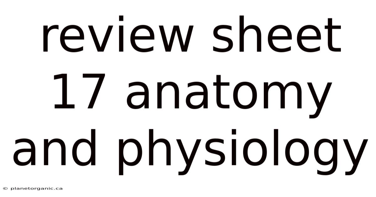 Review Sheet 17 Anatomy And Physiology