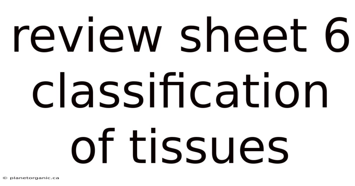 Review Sheet 6 Classification Of Tissues
