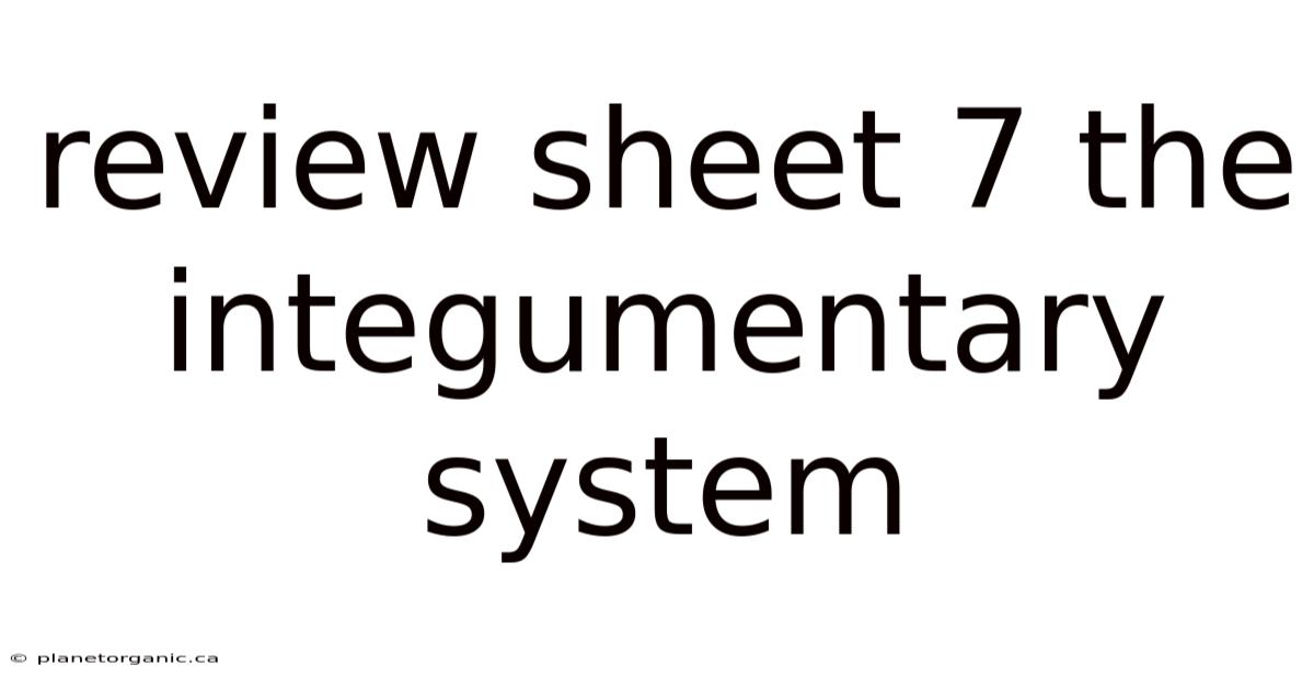 Review Sheet 7 The Integumentary System