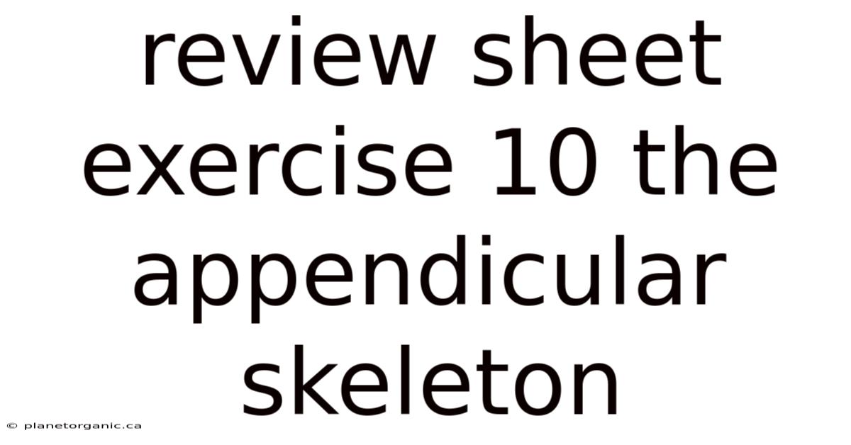 Review Sheet Exercise 10 The Appendicular Skeleton