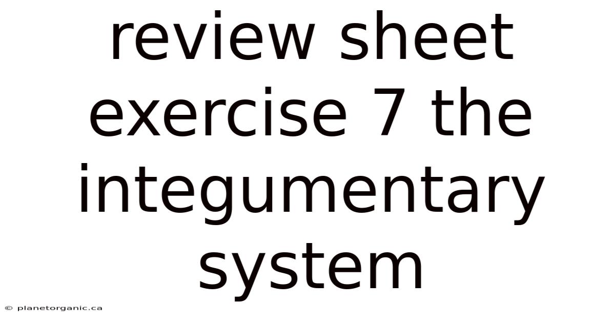 Review Sheet Exercise 7 The Integumentary System