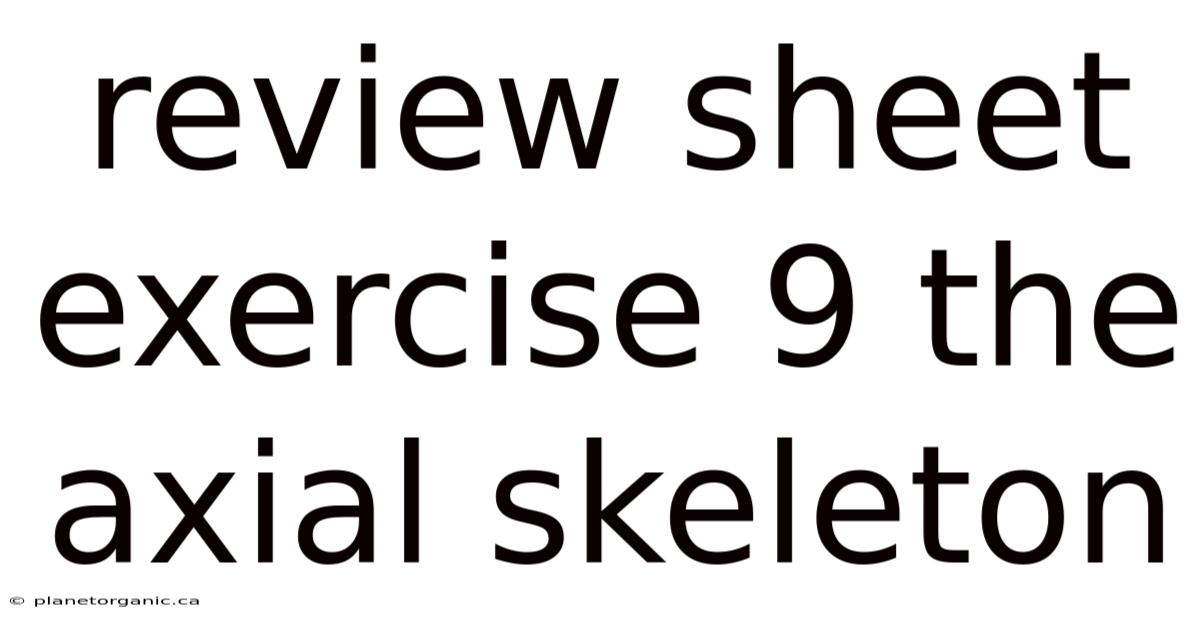 Review Sheet Exercise 9 The Axial Skeleton
