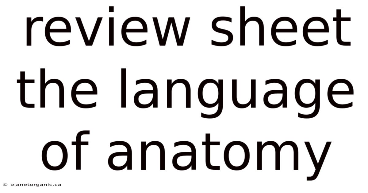 Review Sheet The Language Of Anatomy