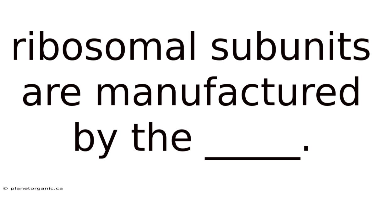 Ribosomal Subunits Are Manufactured By The _____.