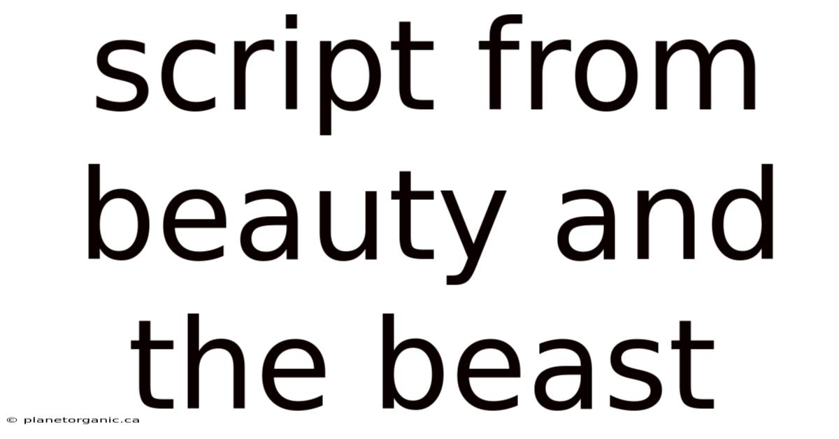 Script From Beauty And The Beast