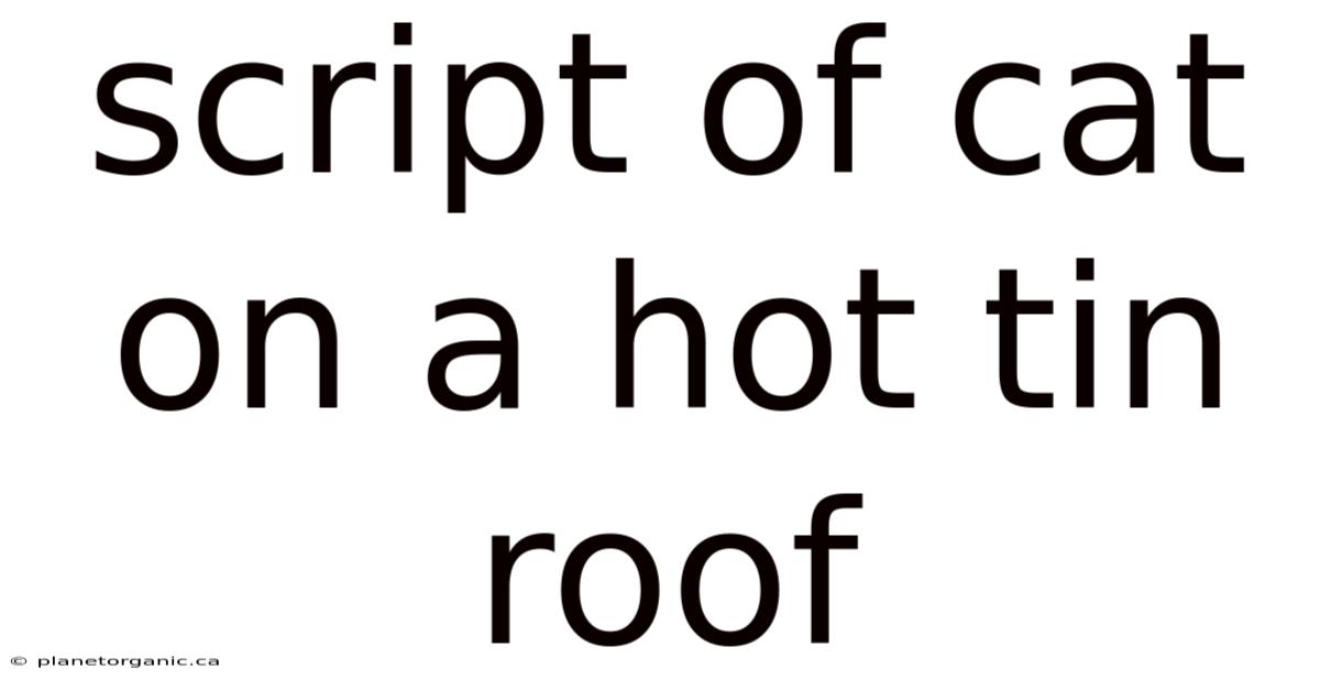 Script Of Cat On A Hot Tin Roof
