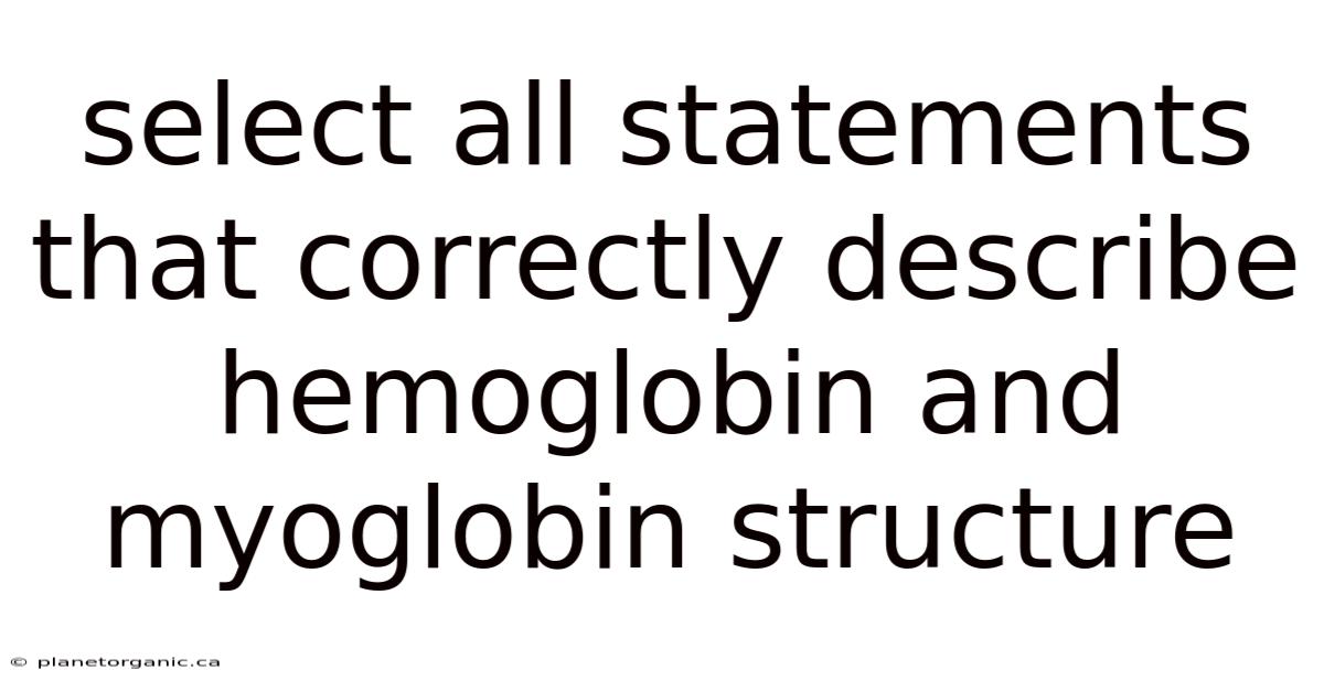 Select All Statements That Correctly Describe Hemoglobin And Myoglobin Structure