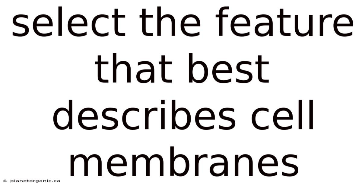 Select The Feature That Best Describes Cell Membranes