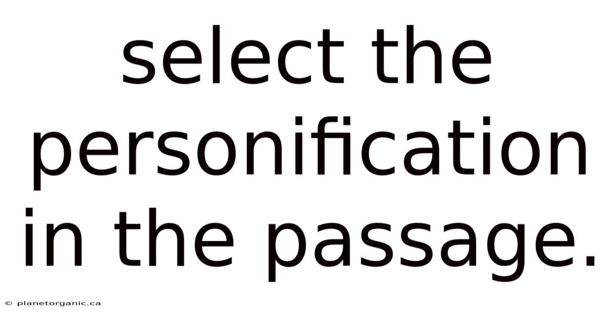 Select The Personification In The Passage.