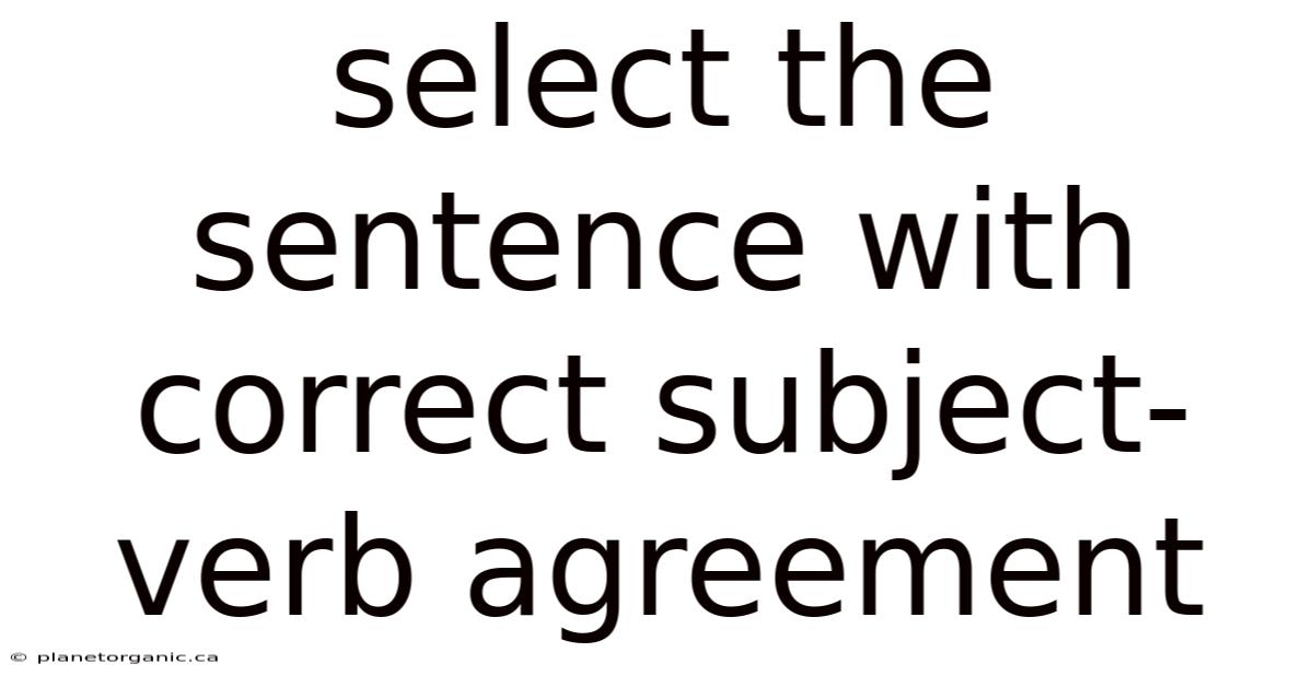 Select The Sentence With Correct Subject-verb Agreement