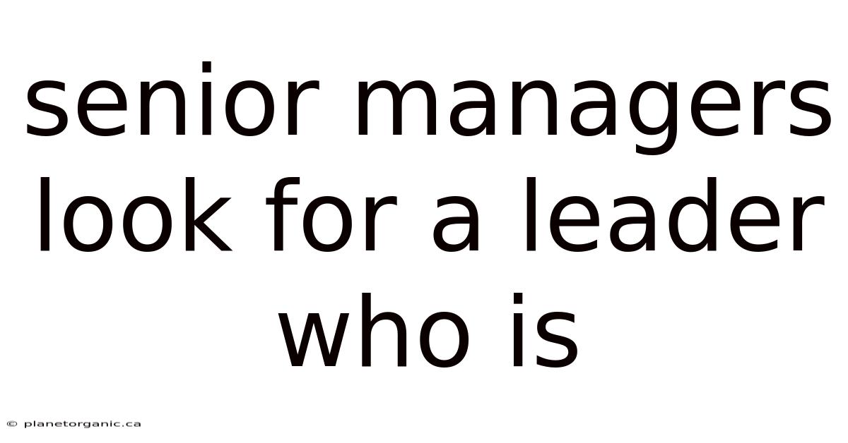 Senior Managers Look For A Leader Who Is