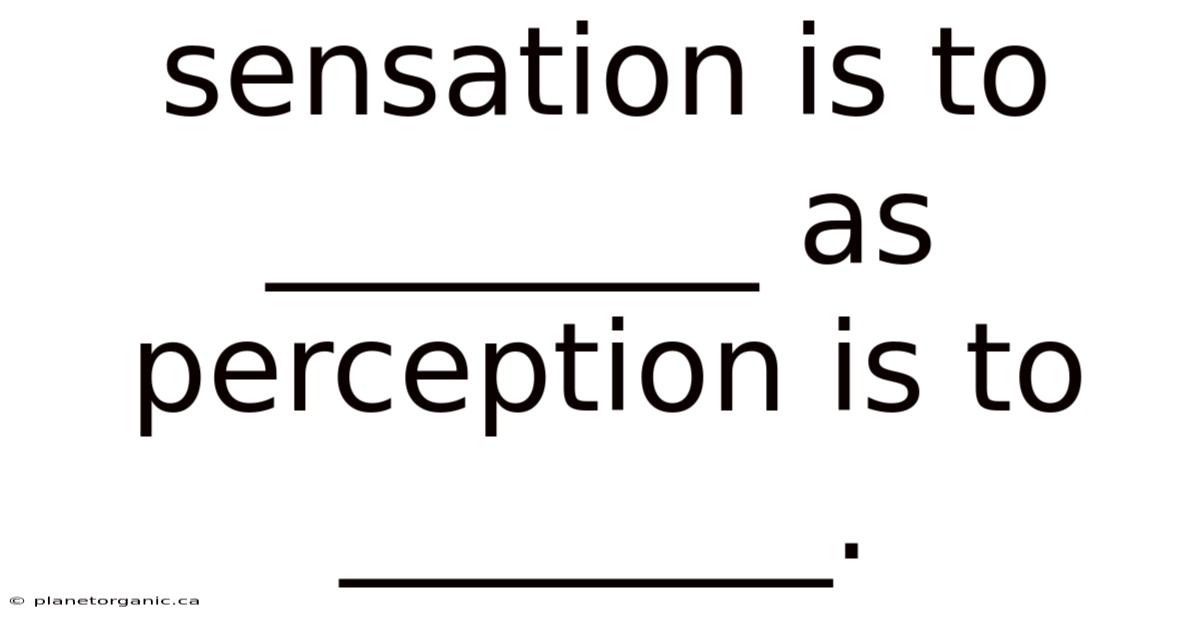 Sensation Is To ________ As Perception Is To ________.