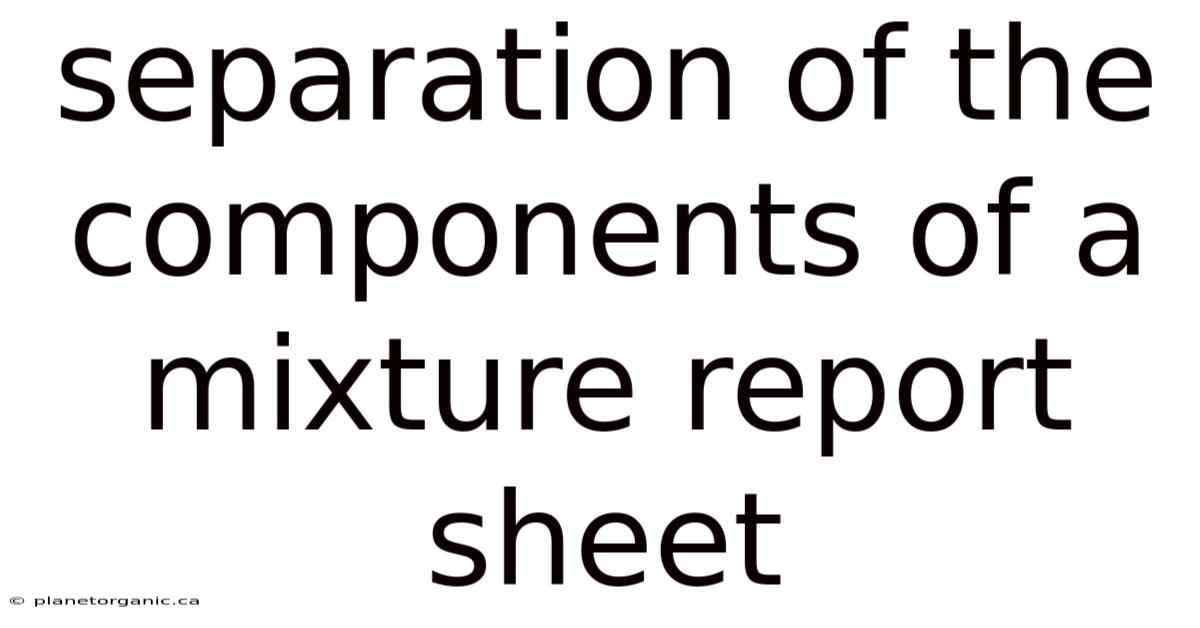 Separation Of The Components Of A Mixture Report Sheet