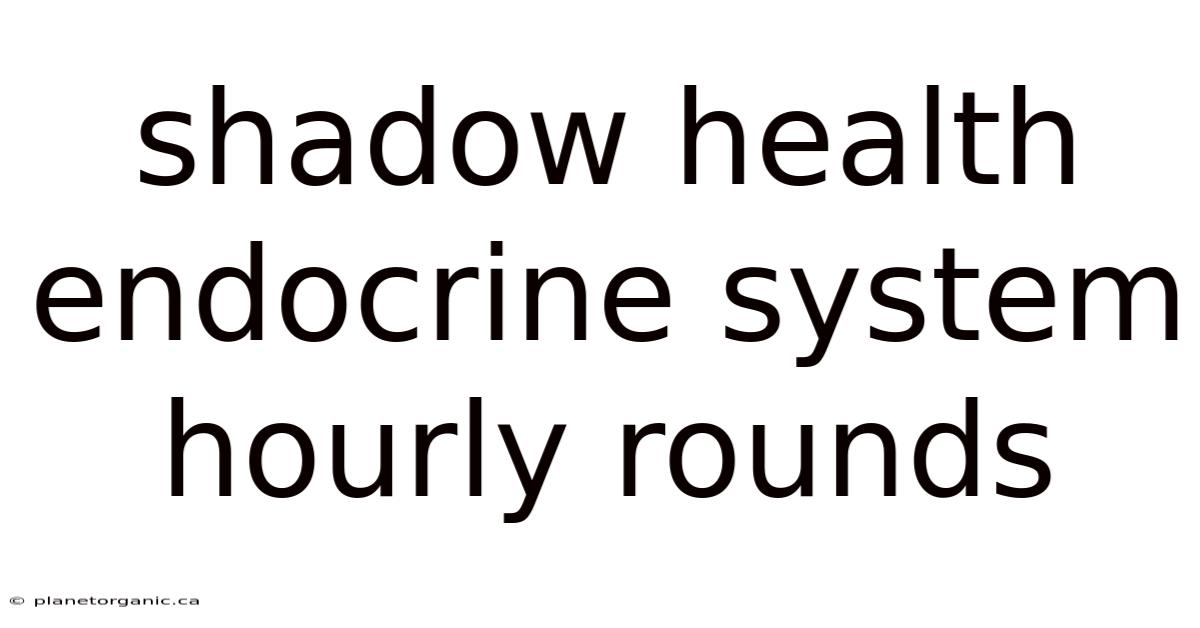 Shadow Health Endocrine System Hourly Rounds