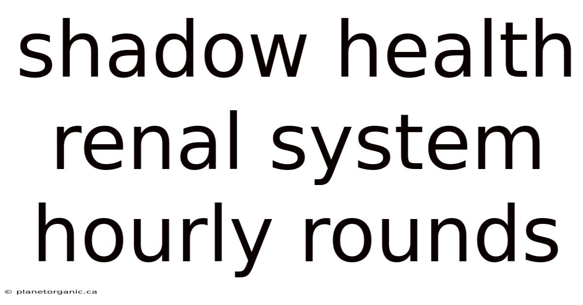Shadow Health Renal System Hourly Rounds