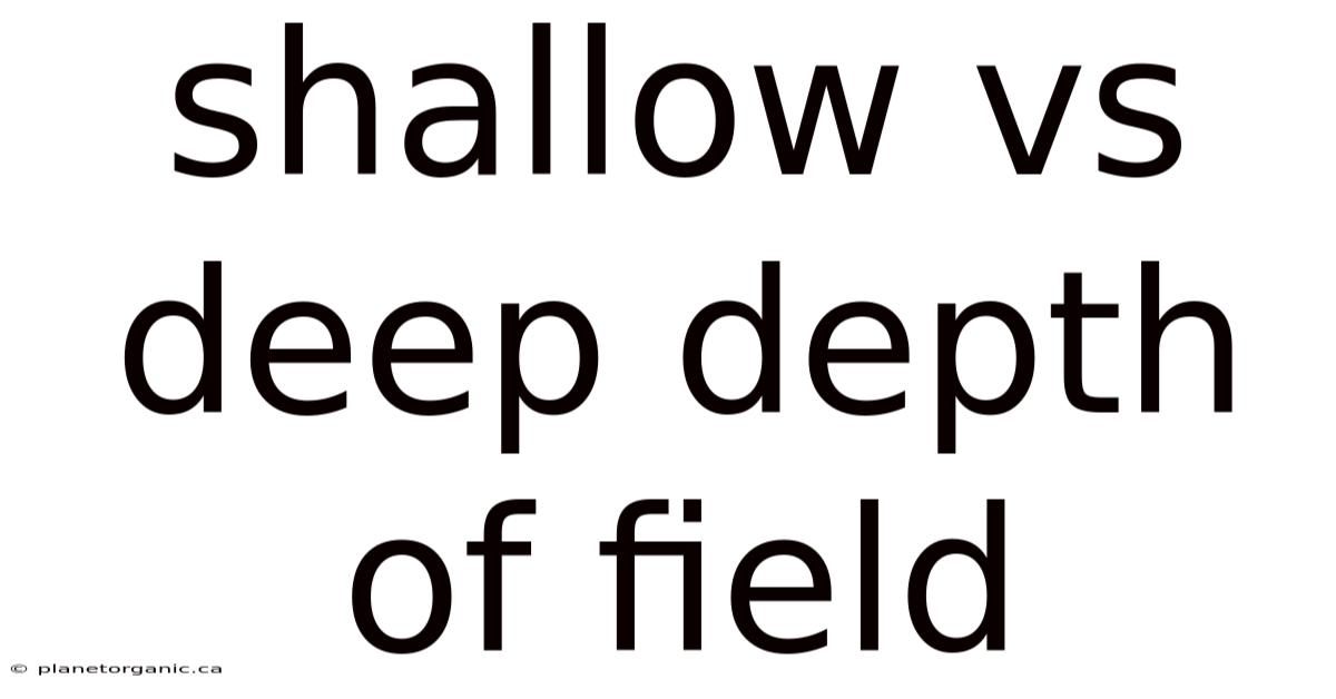 Shallow Vs Deep Depth Of Field