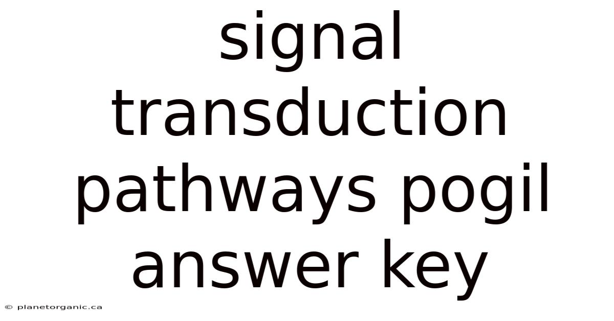 Signal Transduction Pathways Pogil Answer Key
