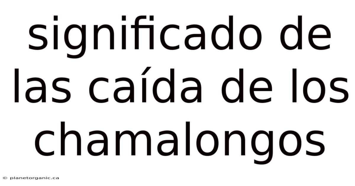 Significado De Las Caída De Los Chamalongos