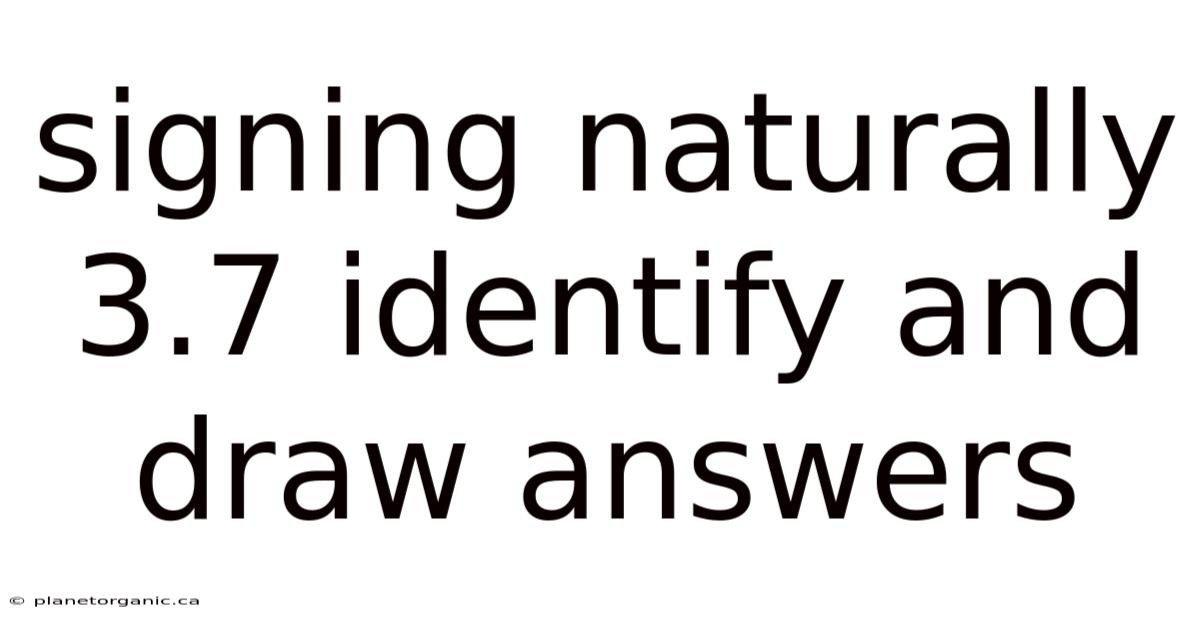 Signing Naturally 3.7 Identify And Draw Answers