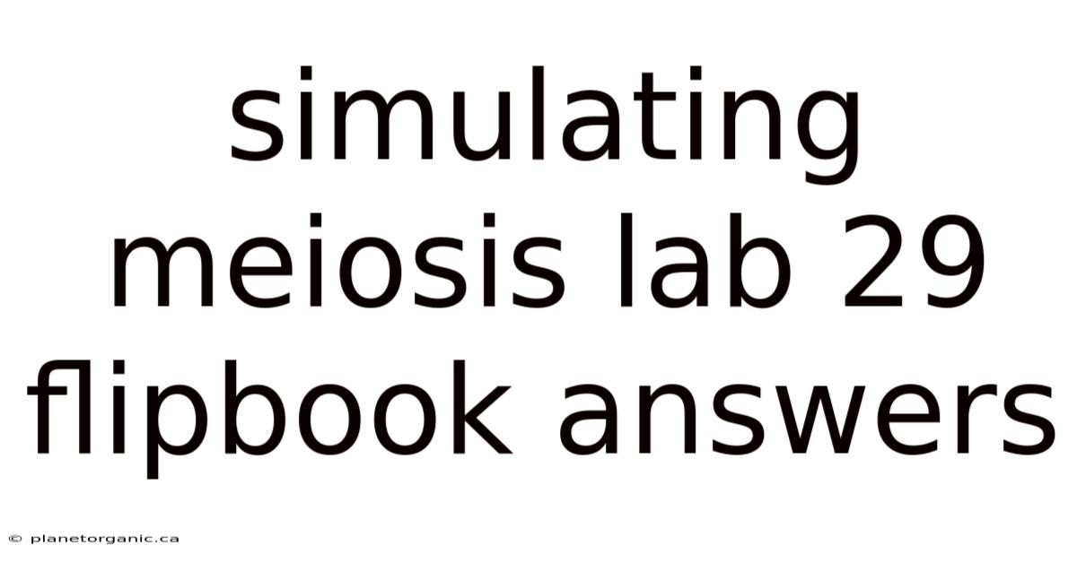 Simulating Meiosis Lab 29 Flipbook Answers