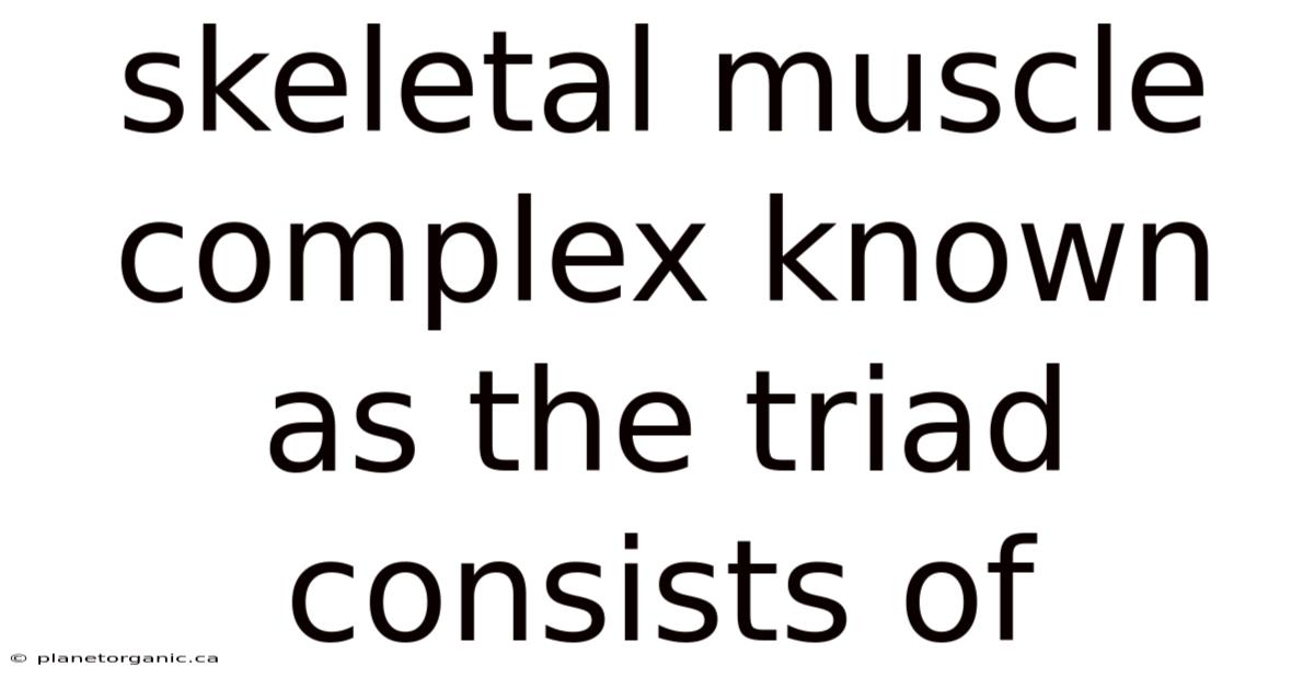 Skeletal Muscle Complex Known As The Triad Consists Of