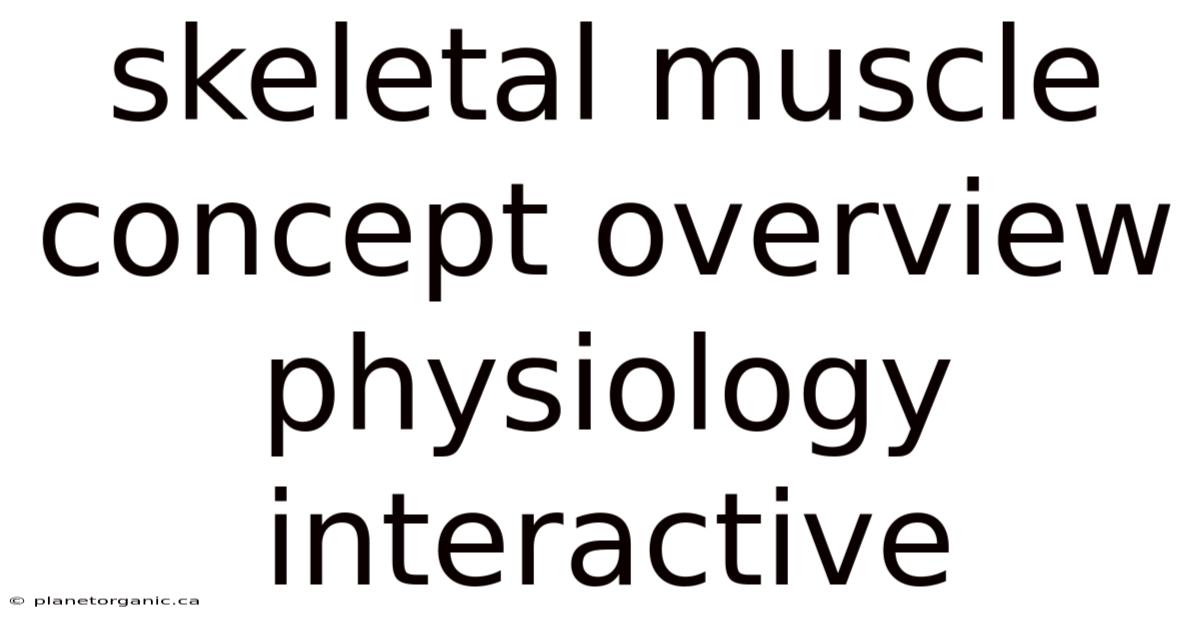Skeletal Muscle Concept Overview Physiology Interactive
