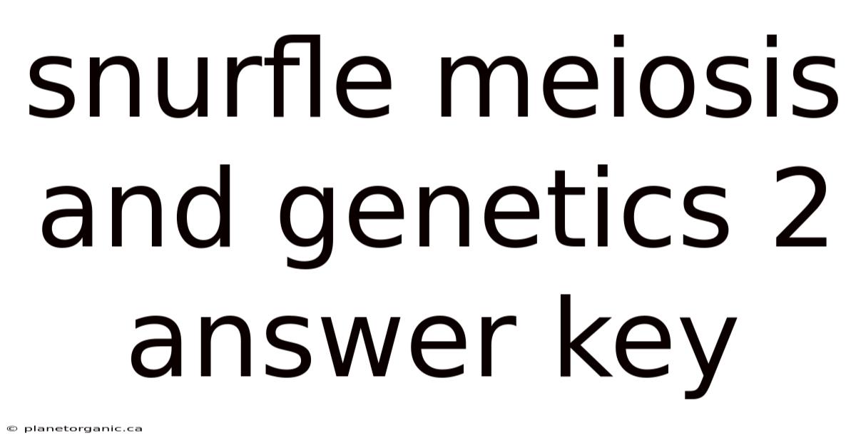 Snurfle Meiosis And Genetics 2 Answer Key