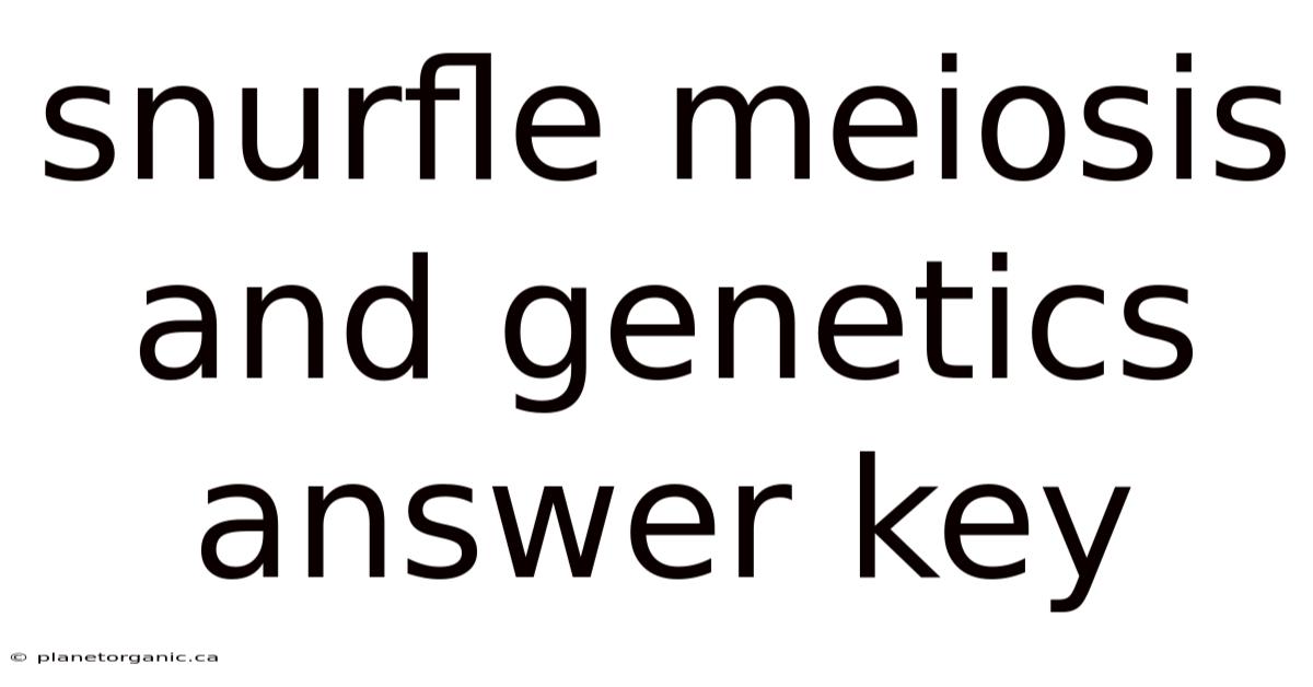 Snurfle Meiosis And Genetics Answer Key