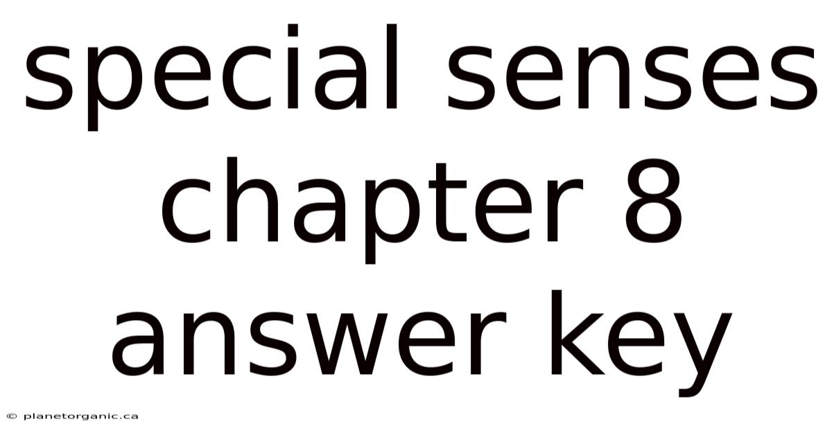 Special Senses Chapter 8 Answer Key