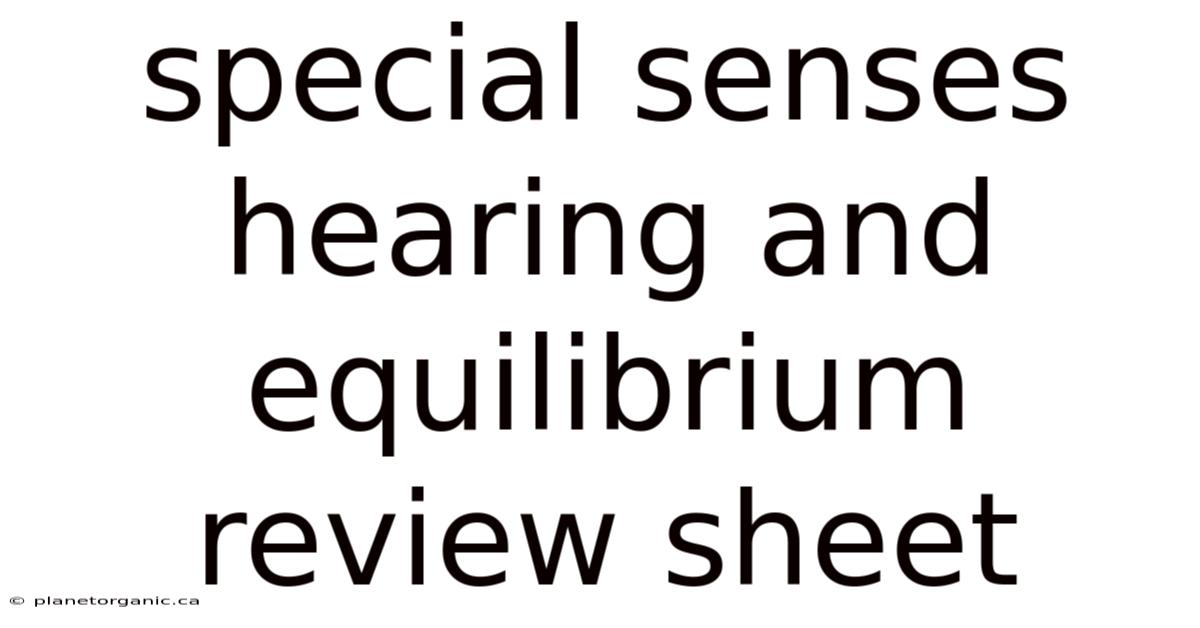 Special Senses Hearing And Equilibrium Review Sheet