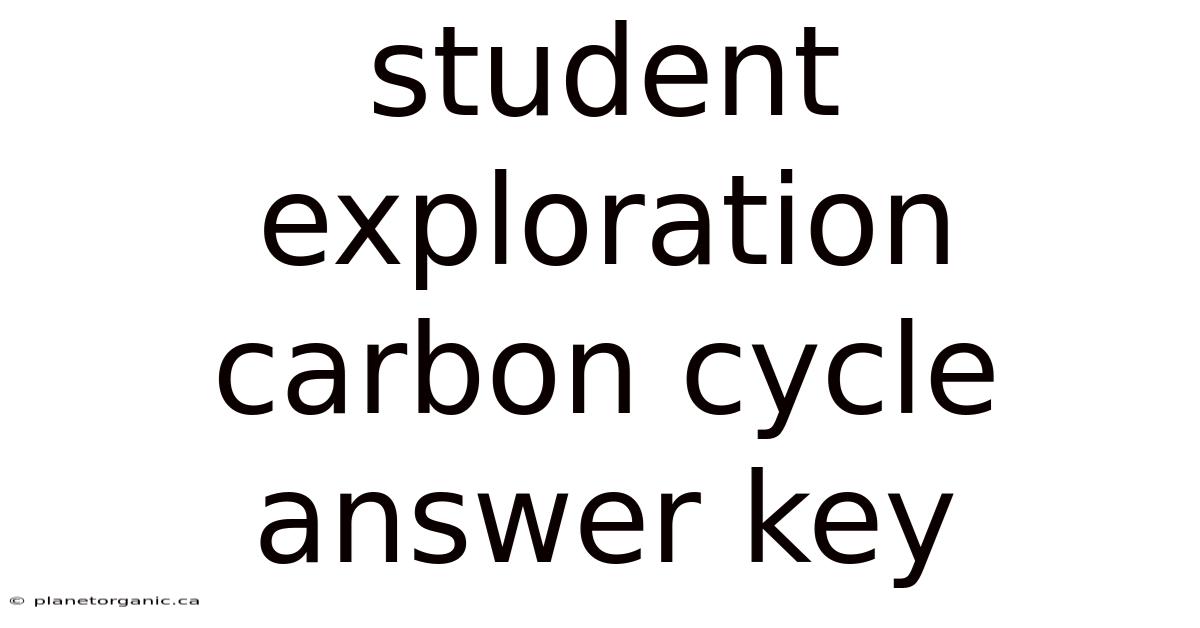 Student Exploration Carbon Cycle Answer Key