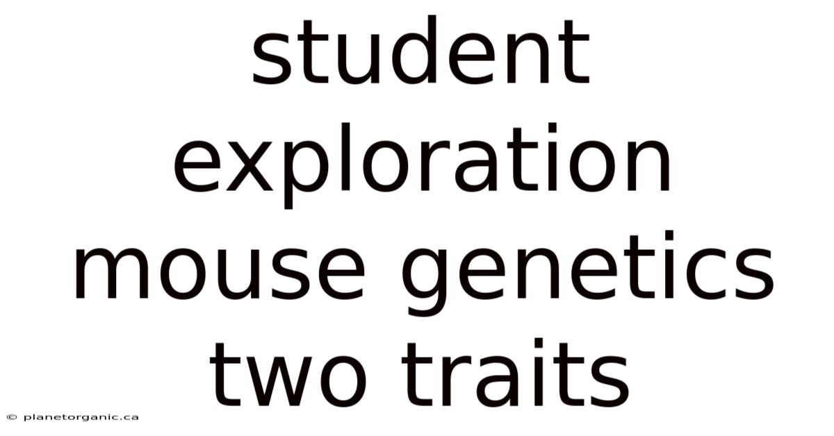 Student Exploration Mouse Genetics Two Traits
