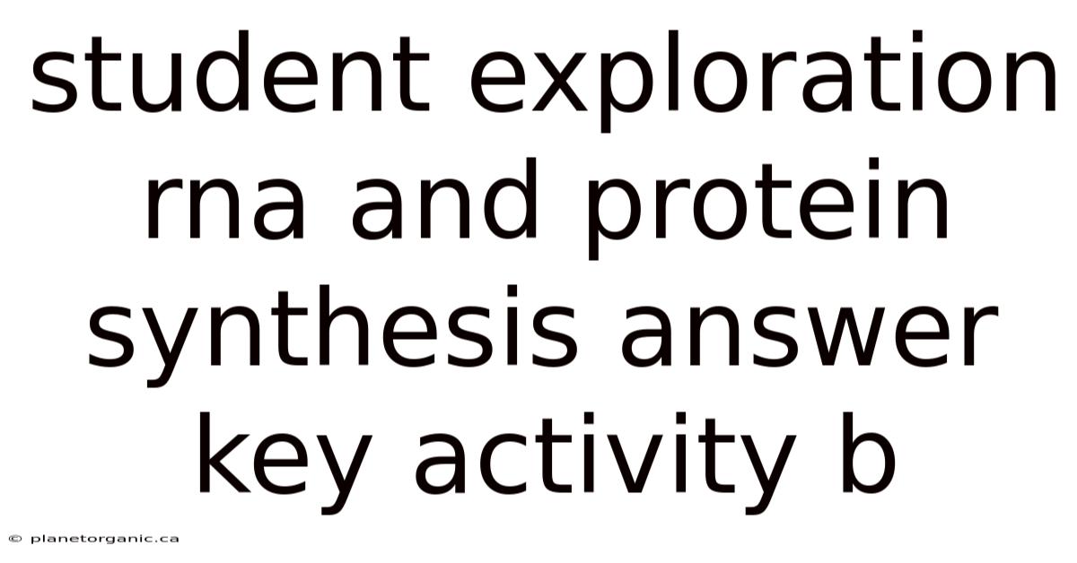 Student Exploration Rna And Protein Synthesis Answer Key Activity B