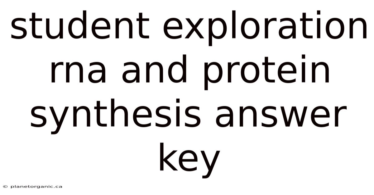 Student Exploration Rna And Protein Synthesis Answer Key
