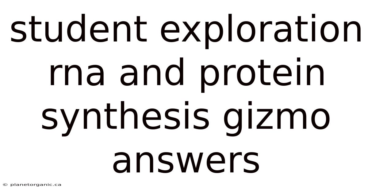 Student Exploration Rna And Protein Synthesis Gizmo Answers
