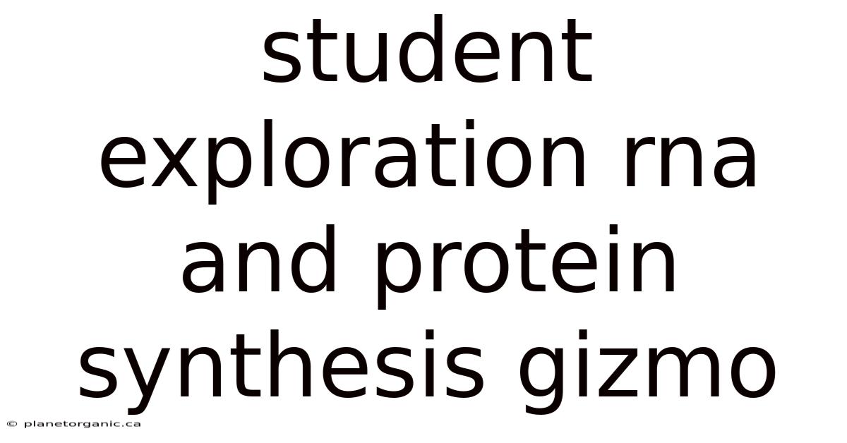 Student Exploration Rna And Protein Synthesis Gizmo