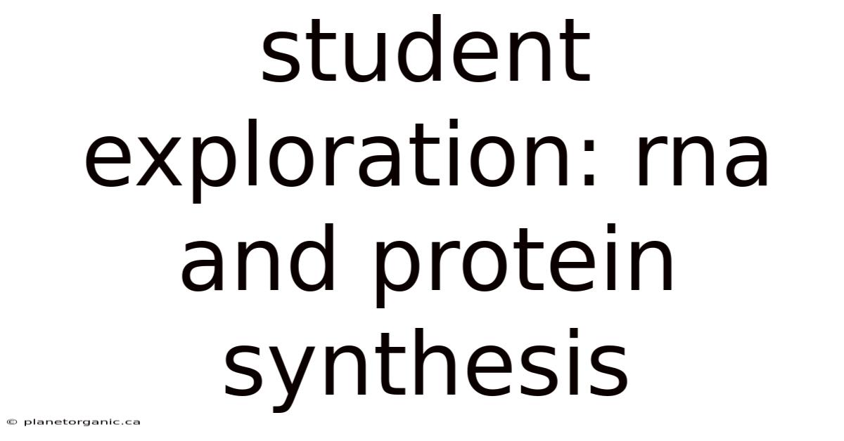 Student Exploration: Rna And Protein Synthesis