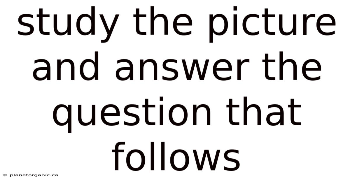 Study The Picture And Answer The Question That Follows