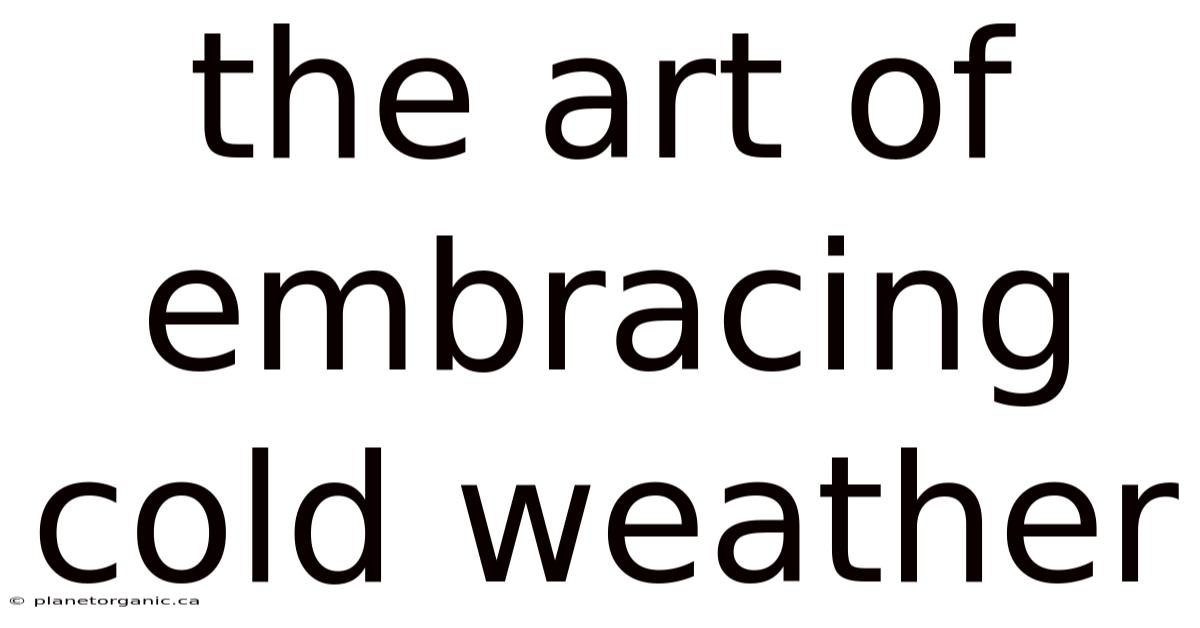 The Art Of Embracing Cold Weather