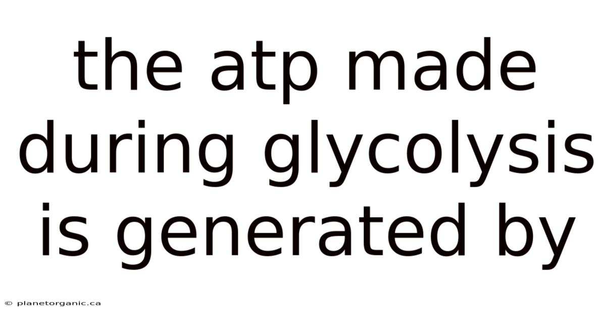 The Atp Made During Glycolysis Is Generated By