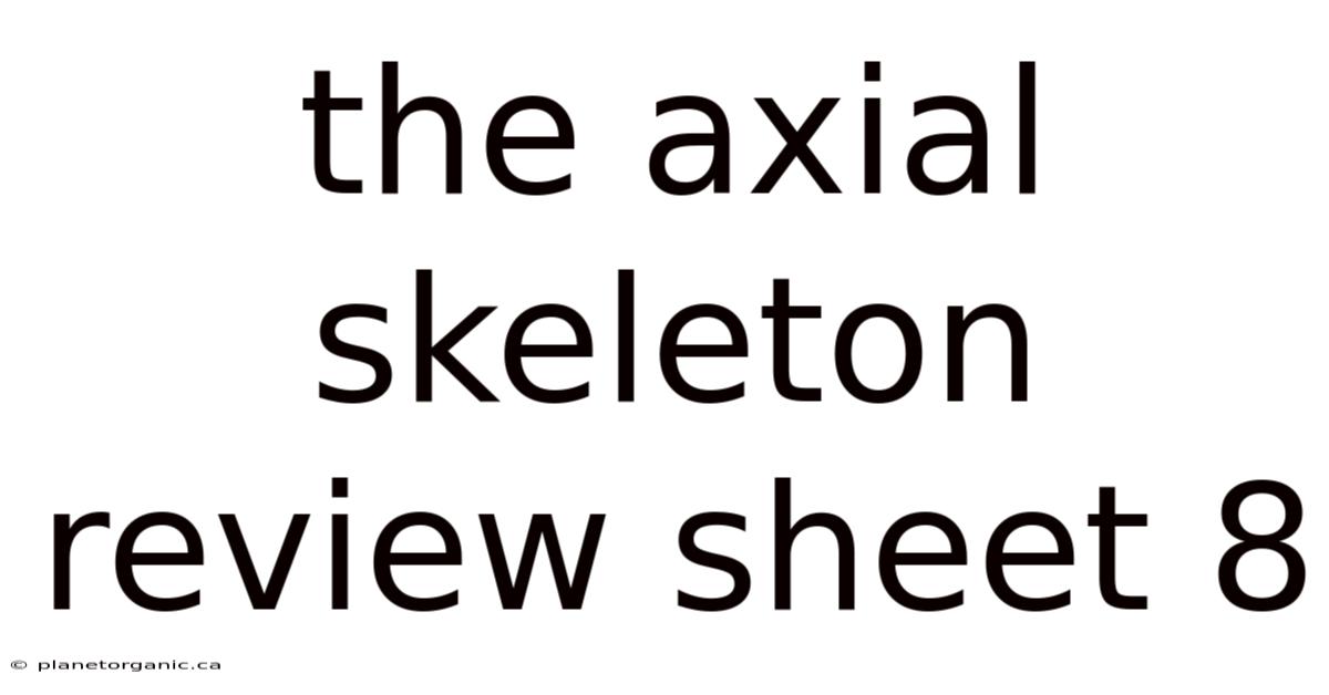 The Axial Skeleton Review Sheet 8