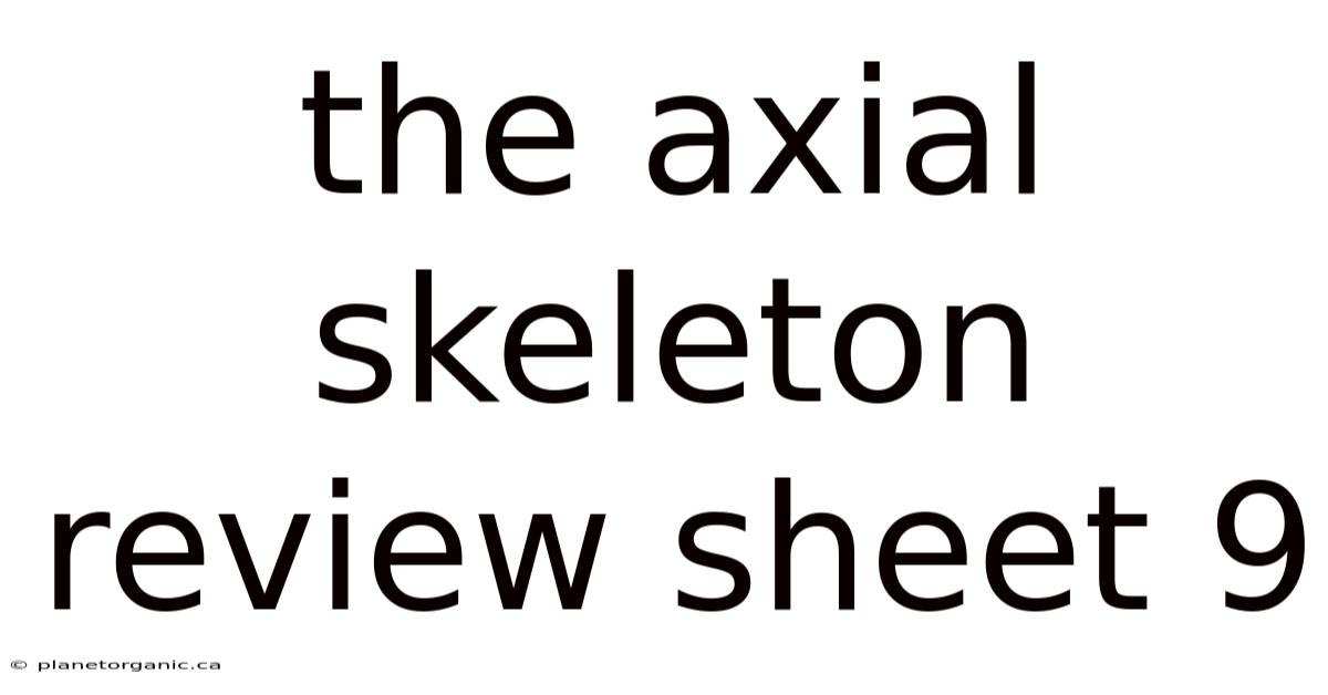 The Axial Skeleton Review Sheet 9