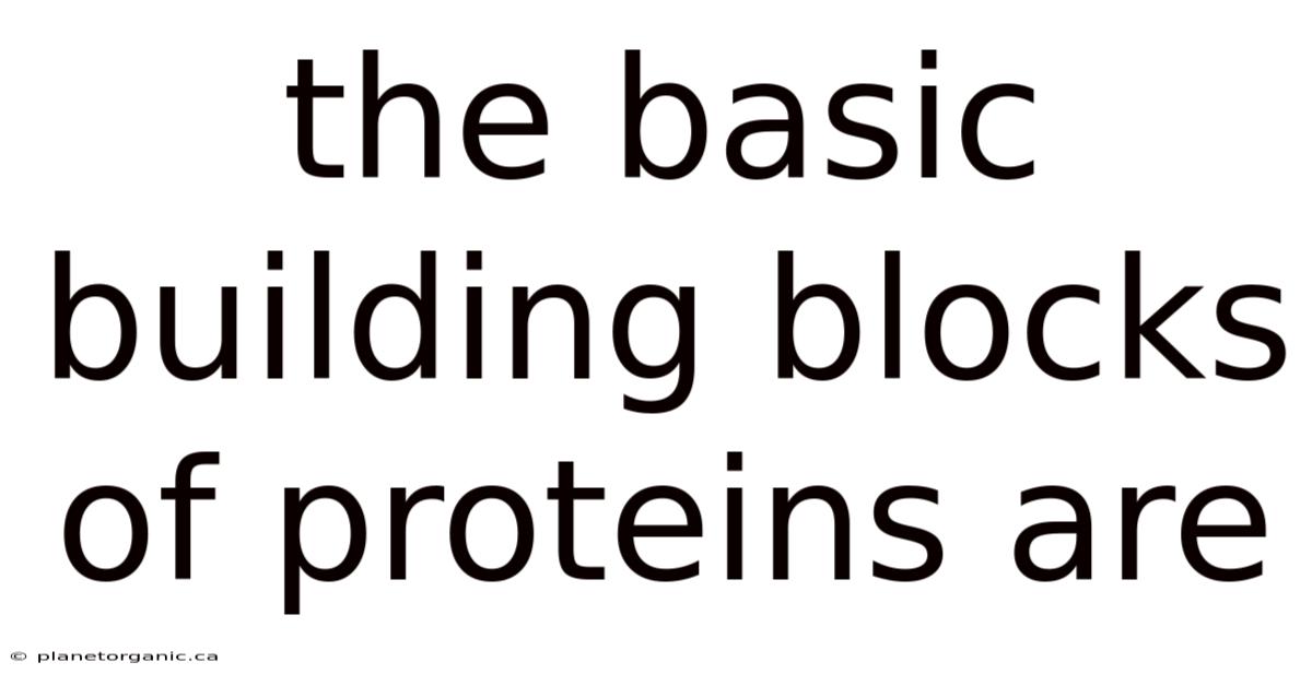 The Basic Building Blocks Of Proteins Are