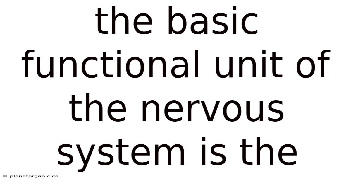 The Basic Functional Unit Of The Nervous System Is The