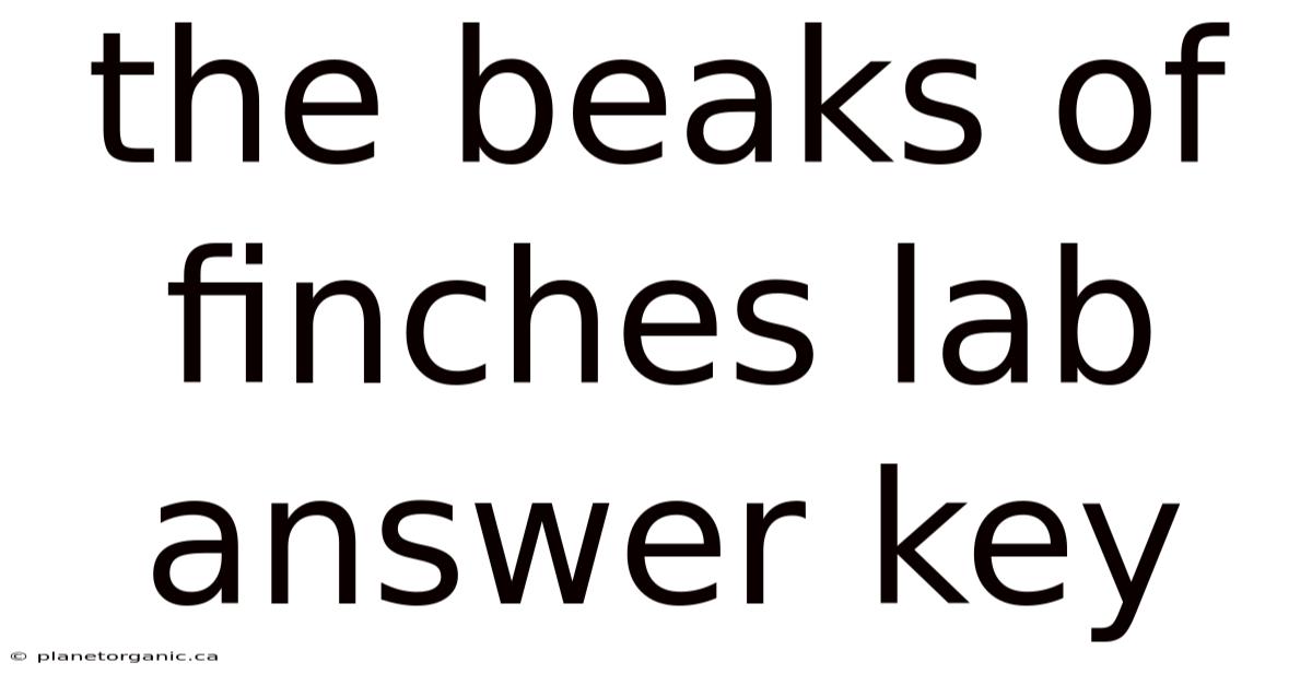 The Beaks Of Finches Lab Answer Key