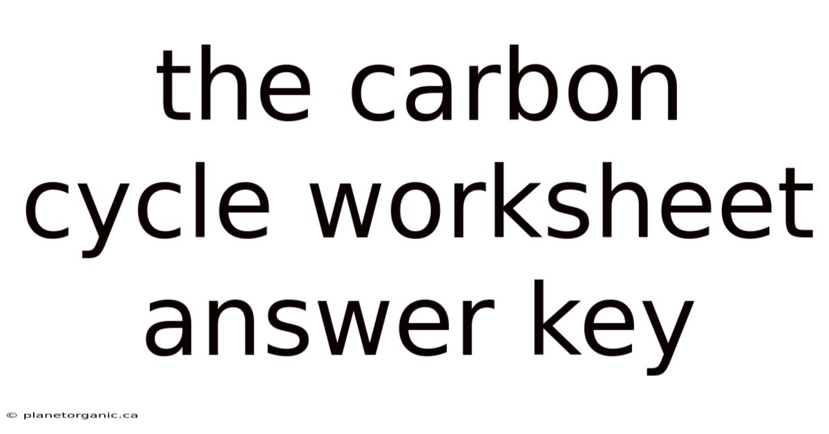 The Carbon Cycle Worksheet Answer Key