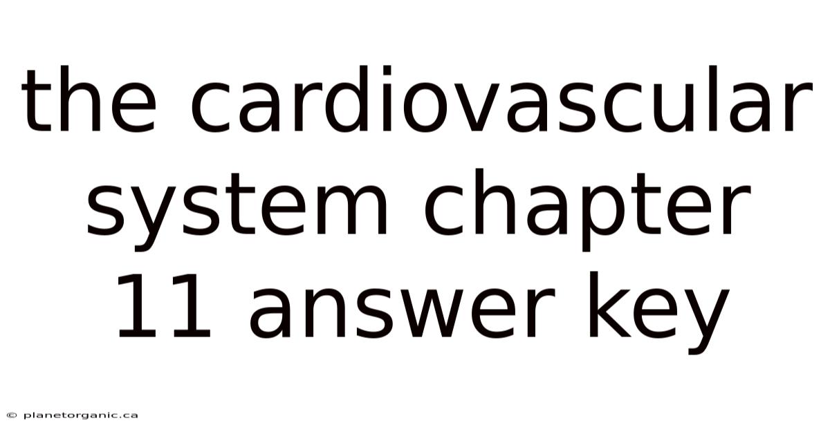 The Cardiovascular System Chapter 11 Answer Key